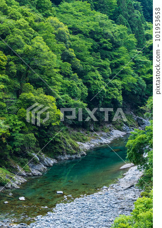 Iyakeki Iyakeki 101953658