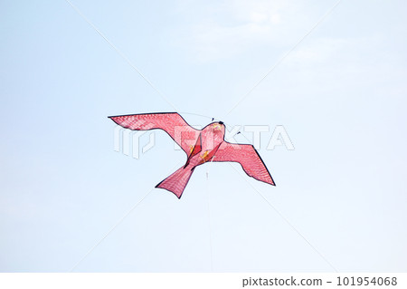 風箏 風箏 101954068