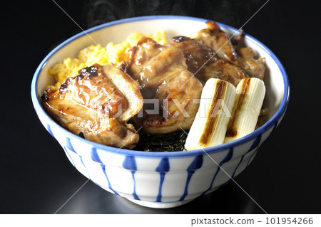 Hot teriyaki chicken bowl topped with minced egg, grilled green onions, and chopped seaweed against a black background Hot teriyaki chicken bowl topped with minced egg, grilled green onions, and chopped seaweed against a black background 101954266