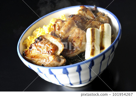 Hot teriyaki chicken bowl topped with minced egg, grilled green onions, and chopped seaweed against a black background Hot teriyaki chicken bowl topped with minced egg, grilled green onions, and chopped seaweed against a black background 101954267