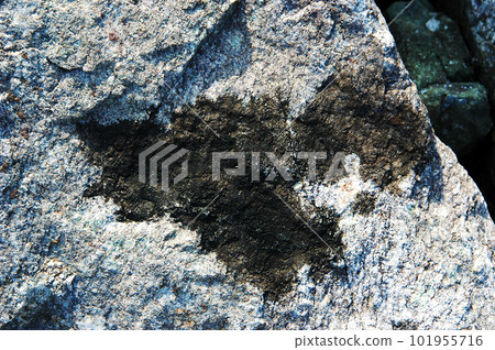 Squid ink marks on the fishing spot 101955716