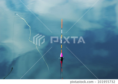 漂浮在海中的棍子漂浮物 漂浮在海中的棍子漂浮物 101955732