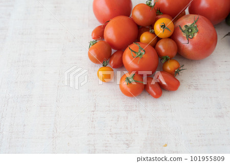 Assortment of mini tomatoes and tomatoes Assortment of mini tomatoes and tomatoes 101955809