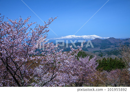 Sakura Pass Sakura Pass 101955892