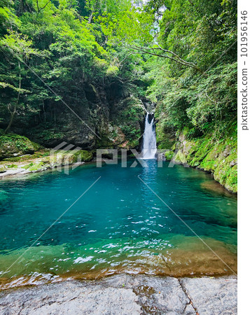 Nikobuchi（仁淀藍） 101956146