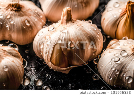 garlic on black background with water drops. Generative AI 101956528