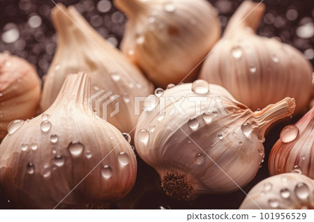 garlic on black background with water drops. Generative AI 101956529