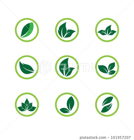 Leaf symbol vector icon 101957207