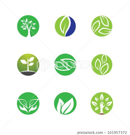 Leaf symbol vector icon 101957372