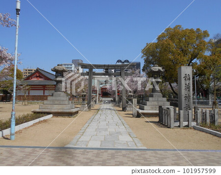 土佐稻荷神社的櫻花 101957599