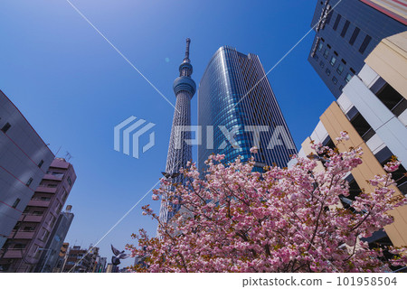 東京天空樹 101958504