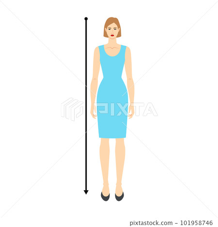 Women to do height measurement body with arrows - Stock Illustration  [101958746] - PIXTA