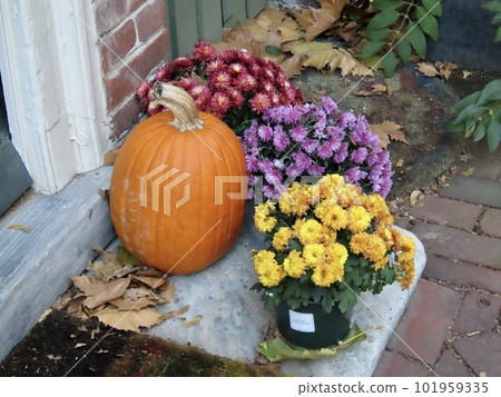 America's oldest residential area, Philadelphia, Elfreth's Alley, Thanksgiving decorations America's oldest residential area, Philadelphia, Elfreth's Alley, Thanksgiving decorations 101959335