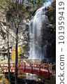 Ontake Kodo/Kiyotaki/Kiyotaki Trail 101959419