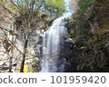 Ontake Kodo/Kiyotaki/Kiyotaki Trail 101959420
