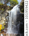 Ontake Kodo/Kiyotaki/Kiyotaki Trail 101959422