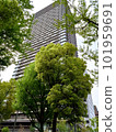 Skyscrapers in a city with greenery 101959691