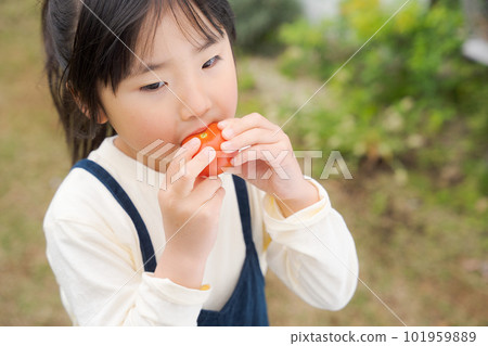 Portrait of girl eating tomato 101959889