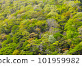 木曾路的風景 101959982