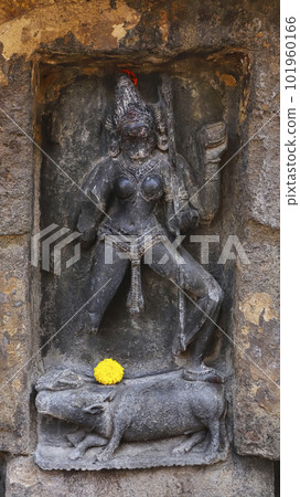 Statue of Varahi a powerful warrior goddess, depicted with the head of a boar Chausath Yogini Temple, Hirapur, Bhubaneshwar, Odisha, India. Statue of Varahi a powerful warrior goddess, depicted with the head of a boar Chausath Yogini Temple, Hirapur, Bhubaneshwar, Odisha, India. 101960166