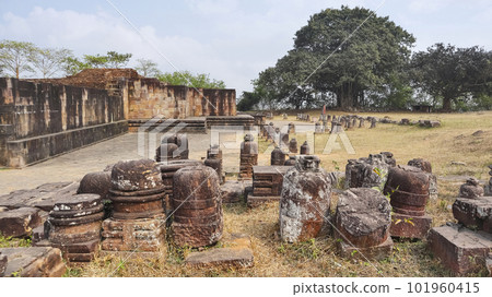 Ruins of Ratnagiri Buddhist Monastery, Odisha, India. 101960415