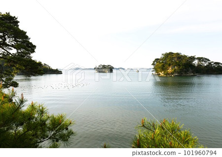 【松島町,從日本三大名勝之一的福浦島觀景台看到的多島海景】 【松島町,從日本三大名勝之一的福浦島觀景台看到的多島海景】 101960794