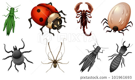Set of different kinds of insects Set of different kinds of insects 101961693