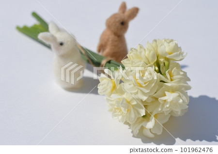 Bouquet of white tassel narcissus and felt rabbit 101962476
