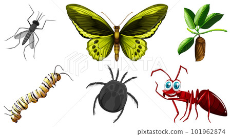 Set of different kinds of insects 101962874