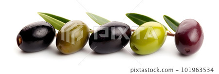 Olive fruits on white backgrounds. AI generative. Olive fruits on white backgrounds. AI generative. 101963534