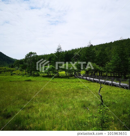 入笠山大原濕地 入笠山大原濕地 101963631