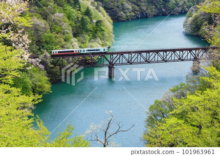 只見線列車穿過鮮綠的只見川3號橋（福島縣三島町，4月下旬） 101963961