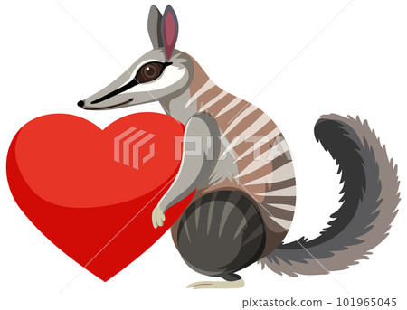 Numbat holding heart isolated 101965045