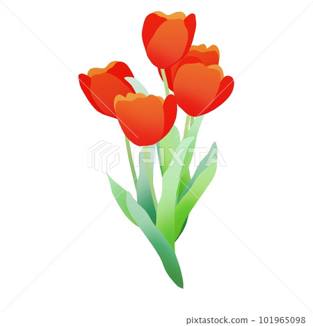 紅色鬱金香花束 101965098