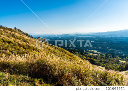 Autumn leaves of grass from Mt. Ogi Observatory (west side) [Aso City, Kumamoto Prefecture] 101965651