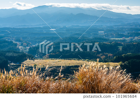 Autumn leaves of grass from Mt. Ogi Observatory (west side) [Aso City, Kumamoto Prefecture] 101965684
