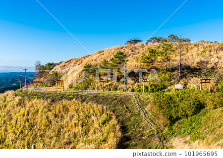 Autumn leaves of grass from Mt. Ogi Observatory (west side) [Aso City, Kumamoto Prefecture] 101965695