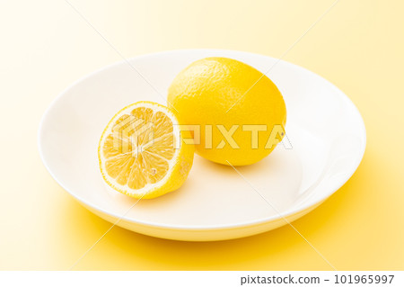 lemon yellow back lemon yellow back 101965997