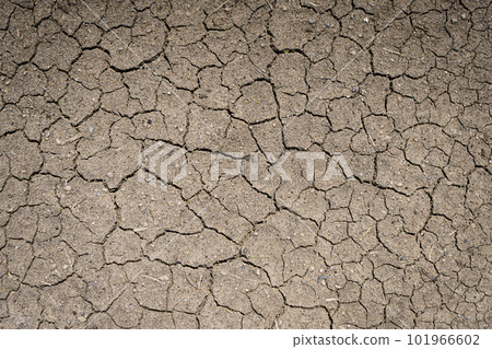 Dry soil background. Texture of dry land in drought and hot weather Dry soil background. Texture of dry land in drought and hot weather 101966602