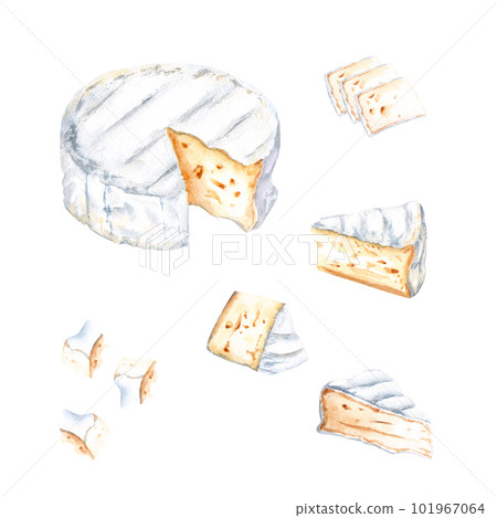 Brie, Camembert cheese set. Watercolor illustration isolated on white background 101967064