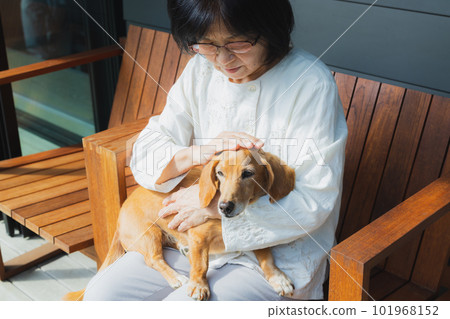 Senior woman holding a dog 101968152