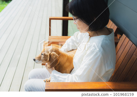 Senior woman holding a dog Senior woman holding a dog 101968159