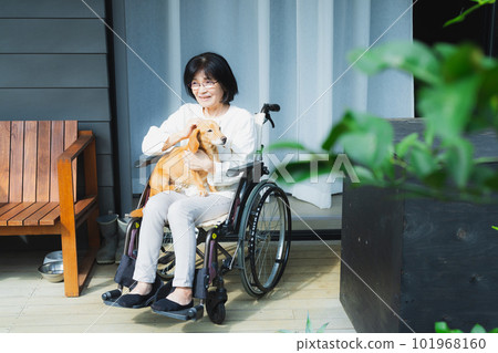 Senior woman holding a dog Senior woman holding a dog 101968160