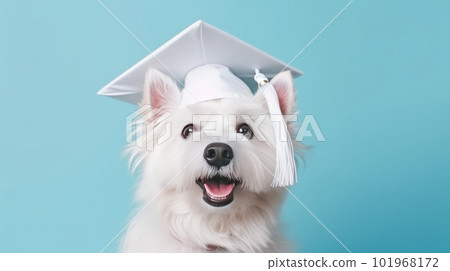 Cute dog in graduation cap. Illustration AI Generative 101968172