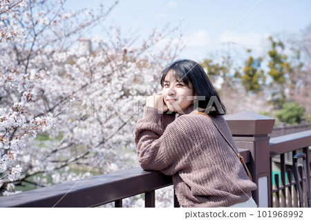Woman posing on a bridge under cherry blossoms Woman posing on a bridge under cherry blossoms 101968992