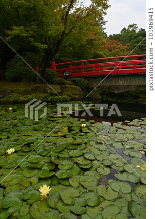 Japanese garden of Yushien Japanese garden of Yushien 101969415