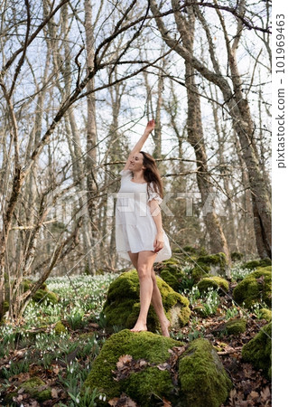 Snowdrops galanthus woman. She stands in a white dress on a meadow with snowdrops in a spring forest Snowdrops galanthus woman. She stands in a white dress on a meadow with snowdrops in a spring forest 101969463