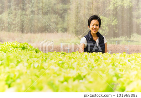 Happy woman farmer standing in hydroponic organic vegetable farm. Happy woman farmer standing in hydroponic organic vegetable farm. 101969882