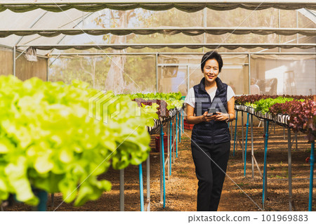 Portrait of happy woman farmer standing in organic vegetable farm and using smart phone. Portrait of happy woman farmer standing in organic vegetable farm and using smart phone. 101969883