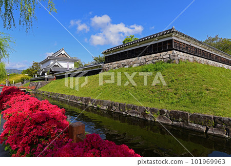 霧島杜鵑花 2 101969963